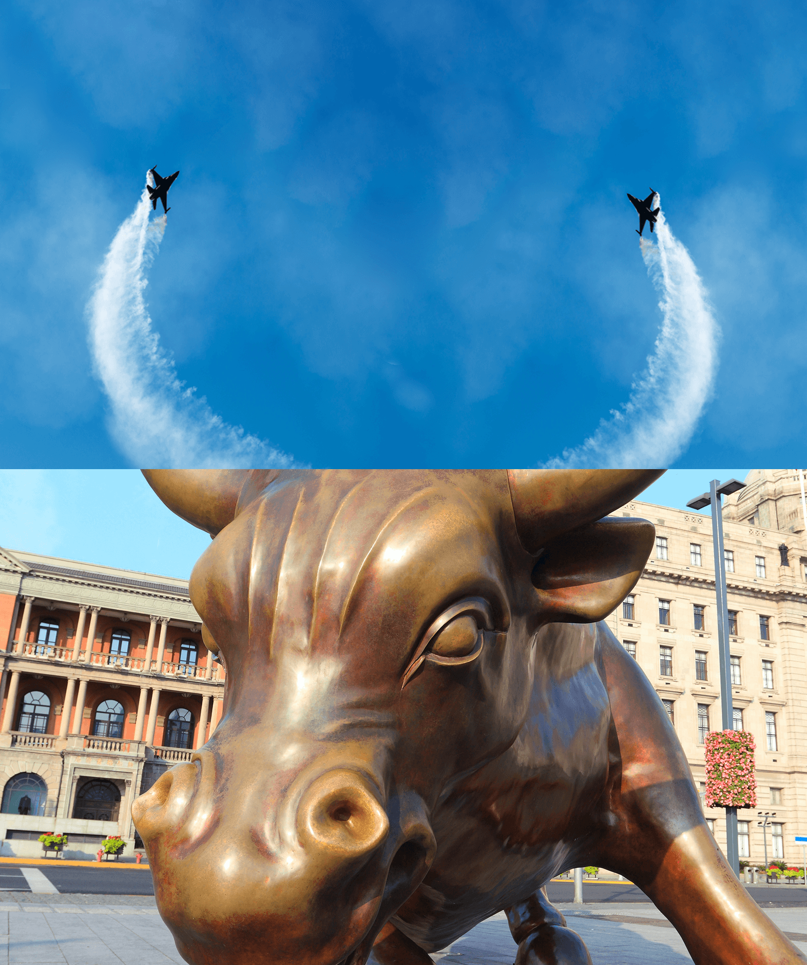 bull with horns
