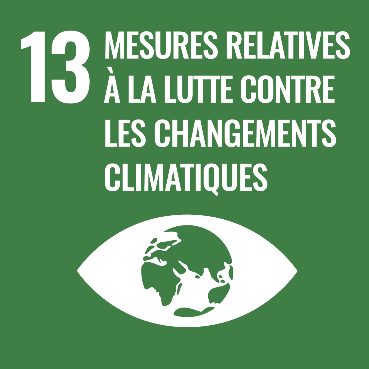 13 Objectifs de développement durable des Nations Unies soutenus