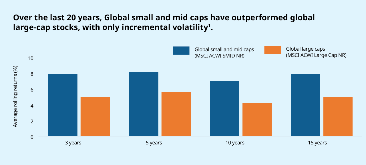 Over the last 20 years, Global small and mid caps have outperformed global large-cap stocks, with only incremental volatility1.